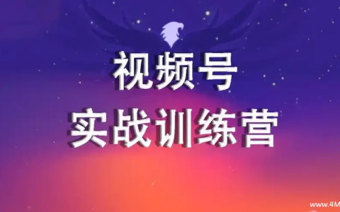2024视频号训练营 网盘下载