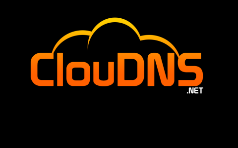 ClouDNS 免费永久域名 可托管Cloudflare