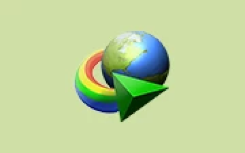 Internet Download Manager v6.42.48 中文绿色特别版(IDM下载利器)