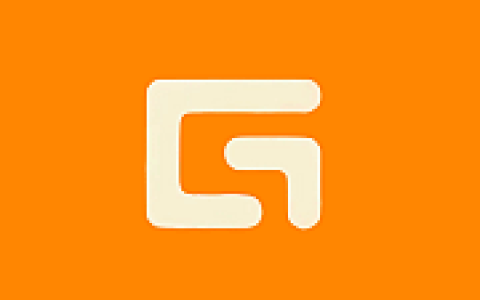 DiskGenius专业版 v5.6.1.1580 汉化绿色版