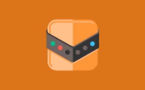 注册表整理工具 Reg Organizer v9.96 多语便携版