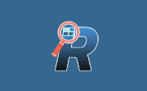 清理优化注册表 Revo Registry Cleaner Pro v2.2.5 多语便携版