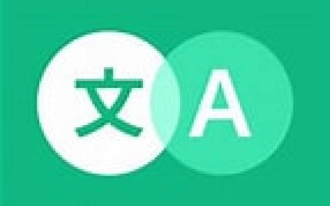 瞬译 Instant Translate v7.5.00300 解锁高级版 即时翻译屏幕