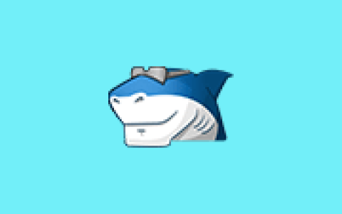 多媒体编解码器套件 Shark007 Codecs v20.9.4 便携版