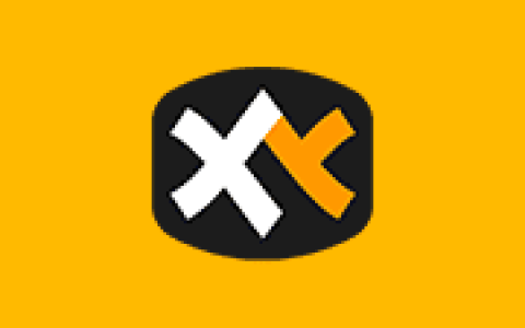 多标签文件管理器 XYplorer v28.40.0600 64-bit 多语便携版