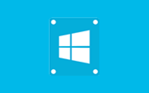 系统安装重装工具 WinToHDD v7.0.0.2 多语便携版