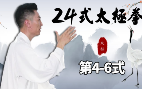 《24式太极拳》 太极拳世界冠军柴云龙讲解版