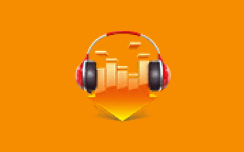 DLNow Video Downloader v1.56.2026.10.24 多语便携版