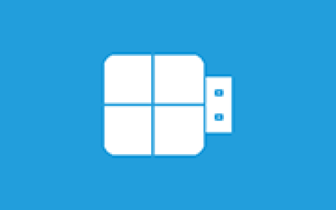 U盘安装操作系统工具 WinToUSB v10.9.0.2 多语便携版