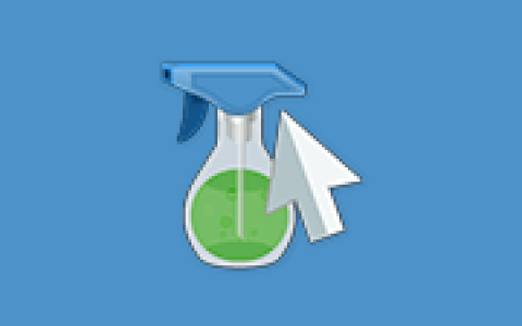 系统清理工具 Wise Disk Cleaner v11.4.0.860 多语便携版