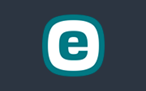 ESET Server Security ESS v13.0.12005.0 特别版 服务器安全