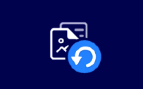 专业数据恢复 iTop Data Recovery Pro v6.4.0.959 多语便携版
