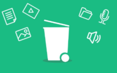 Dumpster v3.34.427.2bb9 文件恢复工具｜数据回收站高级版