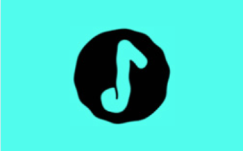 椒盐音乐 Salt Player v12.5.0-alpha01 去广告版
