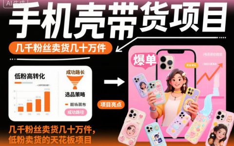 手机壳带货项目实操指南｜低粉账号卖出几十万件