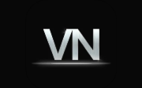 VN视频编辑器 v2.22.1 纯净版 视频编辑工具