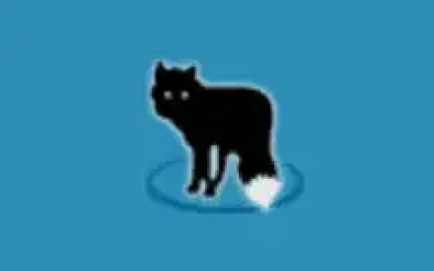 轻量级视频转换软件 MetaFox v2.6.5 便携版