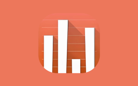 App Usage v6.04 安卓版｜应用监控工具