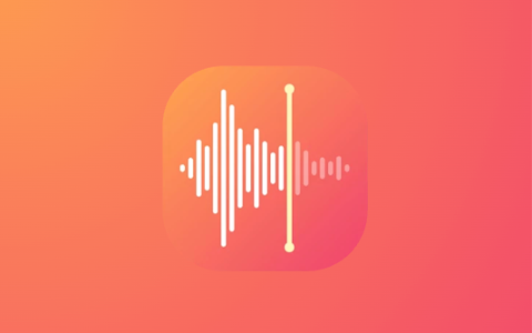 MyRecorder 录音机 v1.02.35.0303 解锁会员版