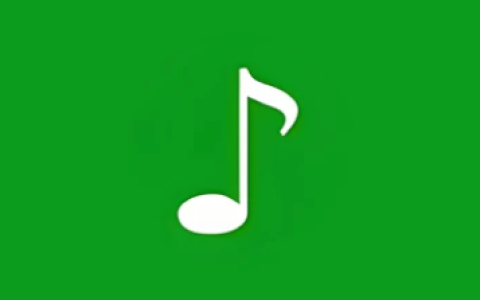 绿乐 v5.0.3 去广告绿色版 安卓轻量全能音乐播放器