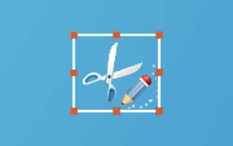 专业截屏王 Apowersoft Screen Capture Pro v1.6.2.0 便携版