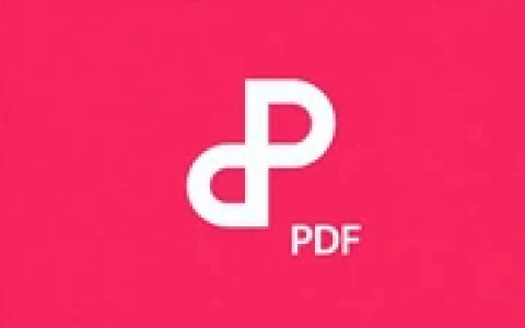 WPS PDF专业版 v12.8.0.23123 精简安装版 PDF文件阅读器