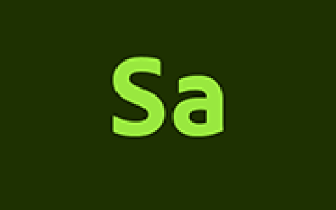 Adobe Substance 3D Sampler v6.0.4 Sa中文直装版