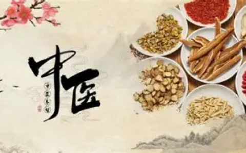 【中医课程】中医调理术 理论讲解实操手法药膳配方 讲解入门到精通